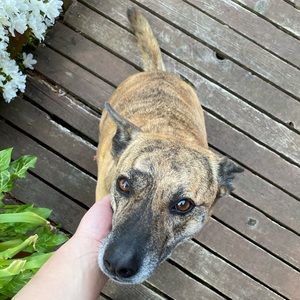 Meet your Posher, Andrew